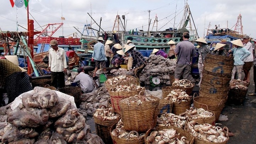 Full nets for Tra Vinh fishermen’s first catch 