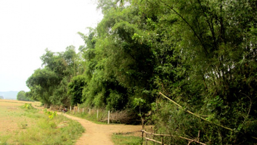 The structure of a traditional Viet village