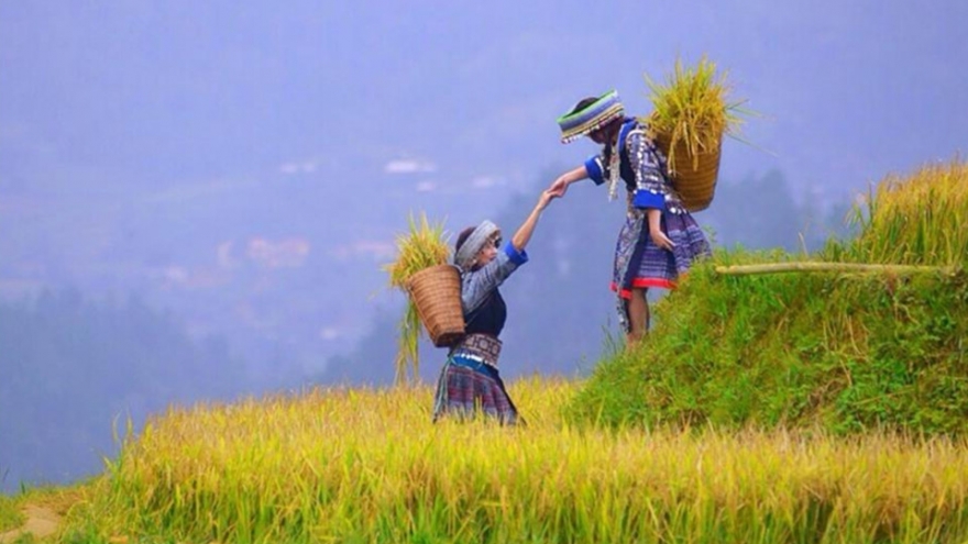 Photographers capture Vietnamese beauty