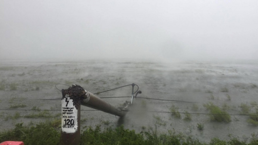 
        Typhoon Doksuri makes landfall in central Vietnam 
                          
                      