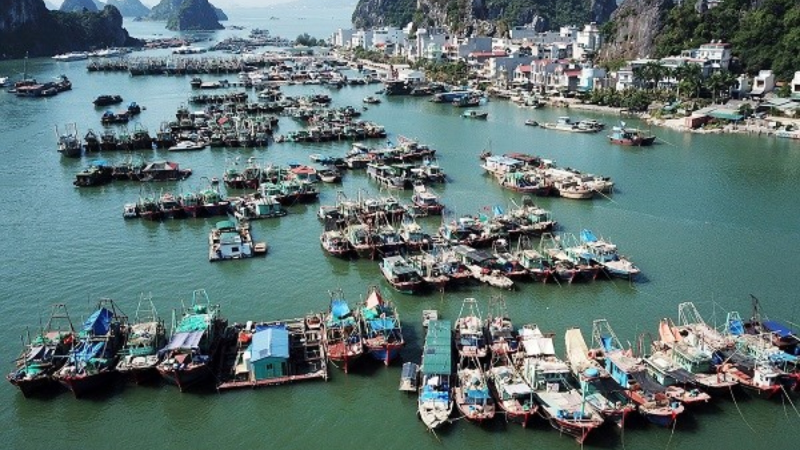 Van Don Economic Zone needs 358.2 million USD for infrastructure