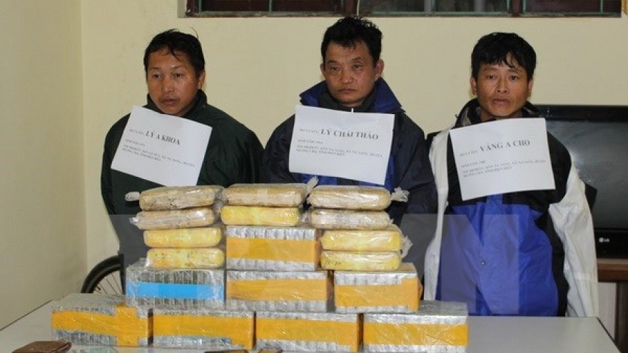 Various drug trafficking cases discovered