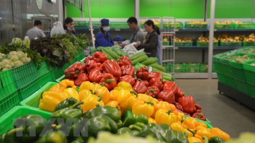 Vegetable, fruit exports hit US$2.7 billion in eight months