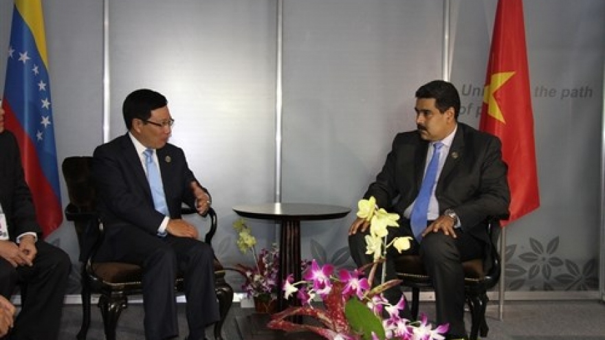 Deputy PM meets leaders of Venezuela and Iraq  