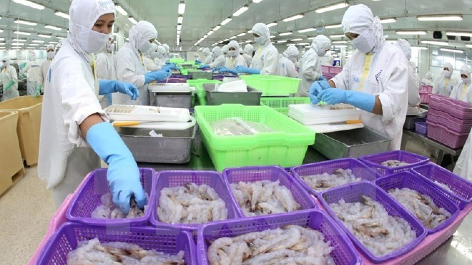 VietShrimp 2018 draws over 100 local, foreign businesses
