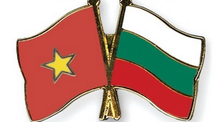 Vietnam-Bulgaria Friendship Association elects new Chair