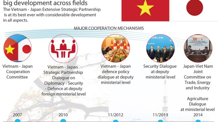 Vietnam - Japan relations record big development across fields
