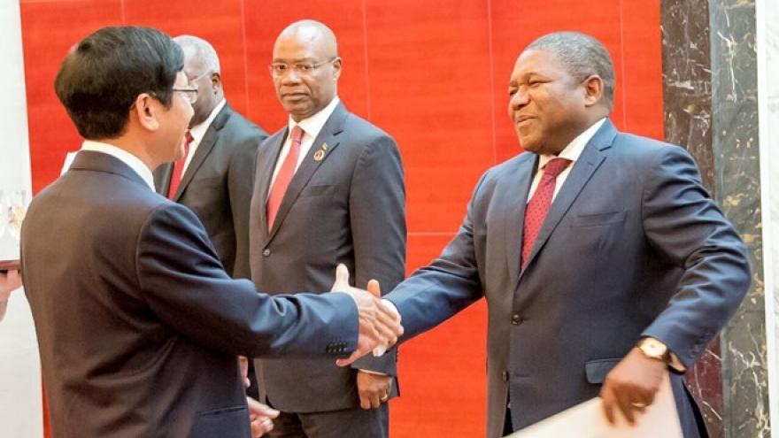 Mozambique welcomes Vietnam’s investment: President Filipe Nyusi