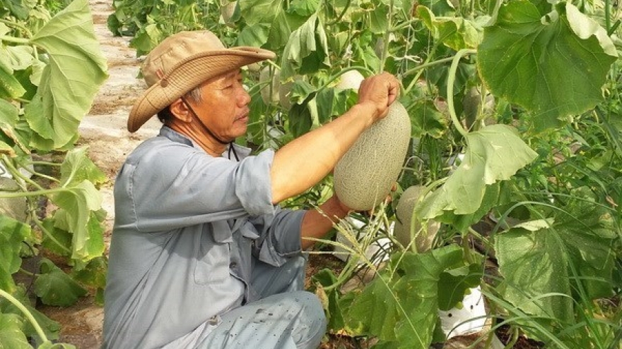 Vietnam, NZ agriculture ministers talk farm produce improvements