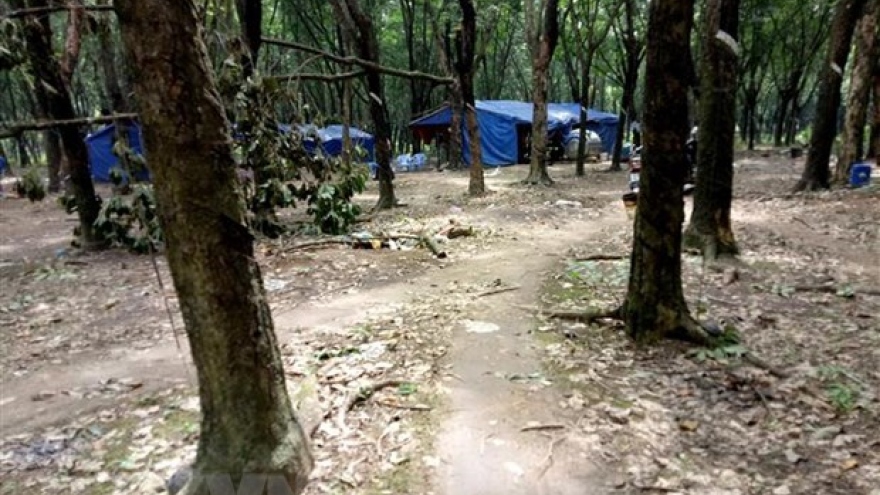 Vietnam Rubber Group taps 25,400 tonnes of latex in Cambodian province in 2018