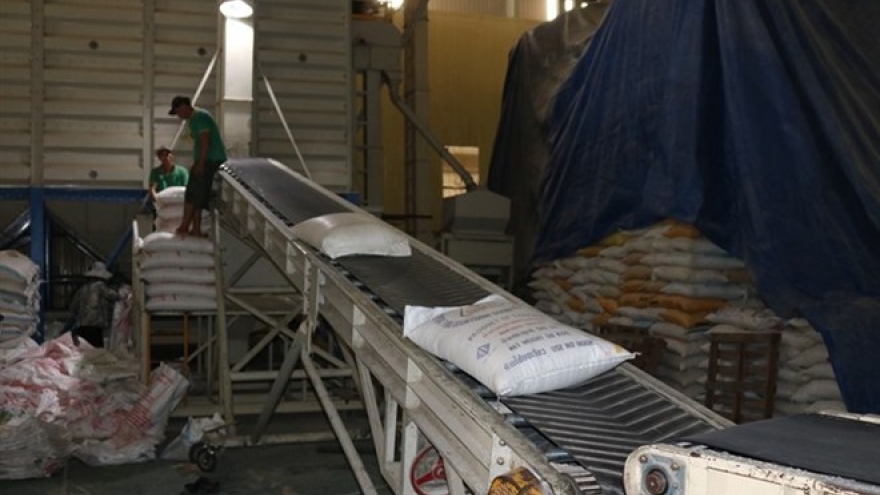 Vietnam loses out on global market without rice brand