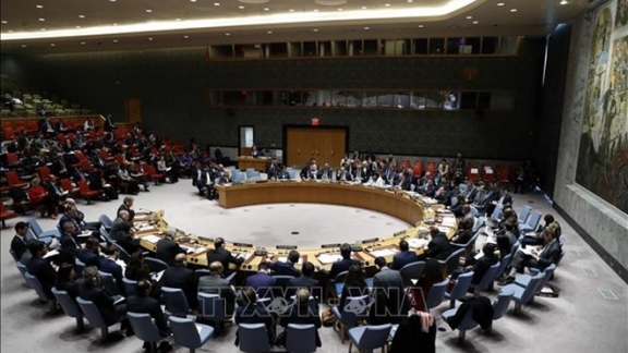 Vietnam well prepared for non-permanent seat at UNSC: Indonesian ambassador