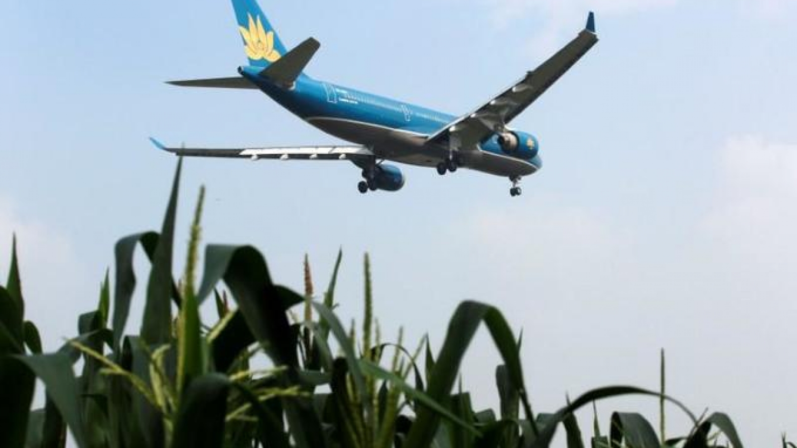 Travelers name Vietnam Airlines among best carriers in Asia