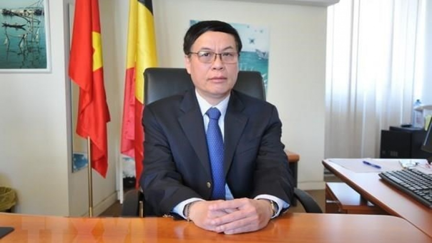 Vietnam prioritises relations with EU: ambassador