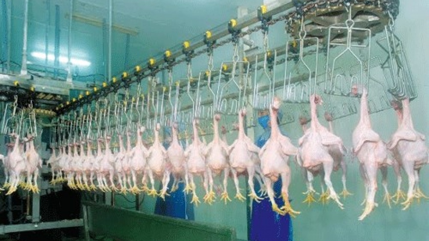 First shipment of Vietnamese chicken dispatched to Japan