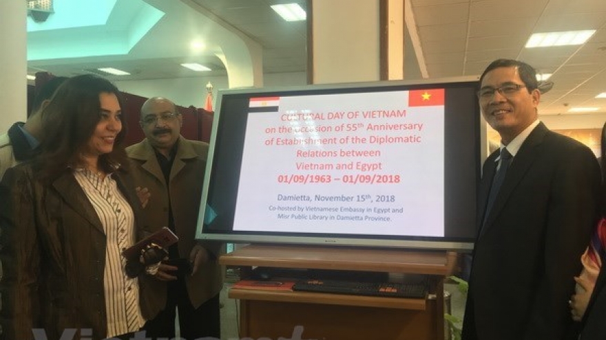 Vietnamese culture day held in Egypt’s Damietta province