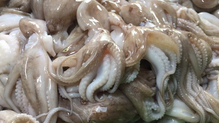 RoK largest export market for Vietnamese squid and octopus