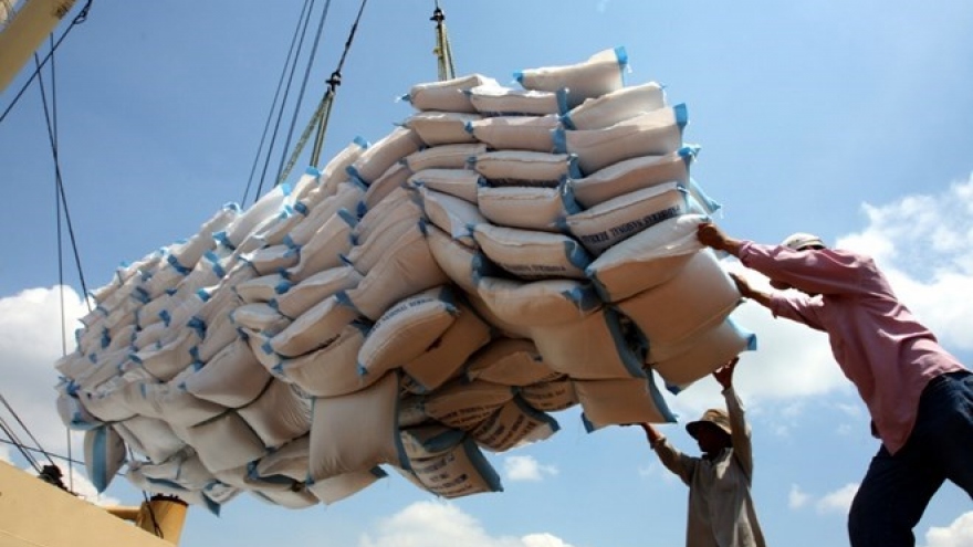 Vietnam’s rice exports on the rise