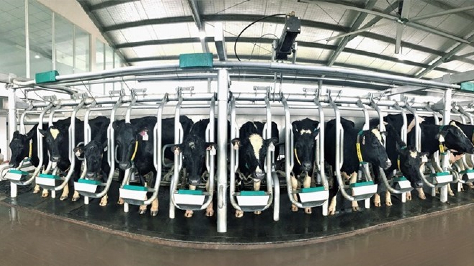 Vinamilk to spend over US$170 mln on hi-tech dairy farm in Can Tho