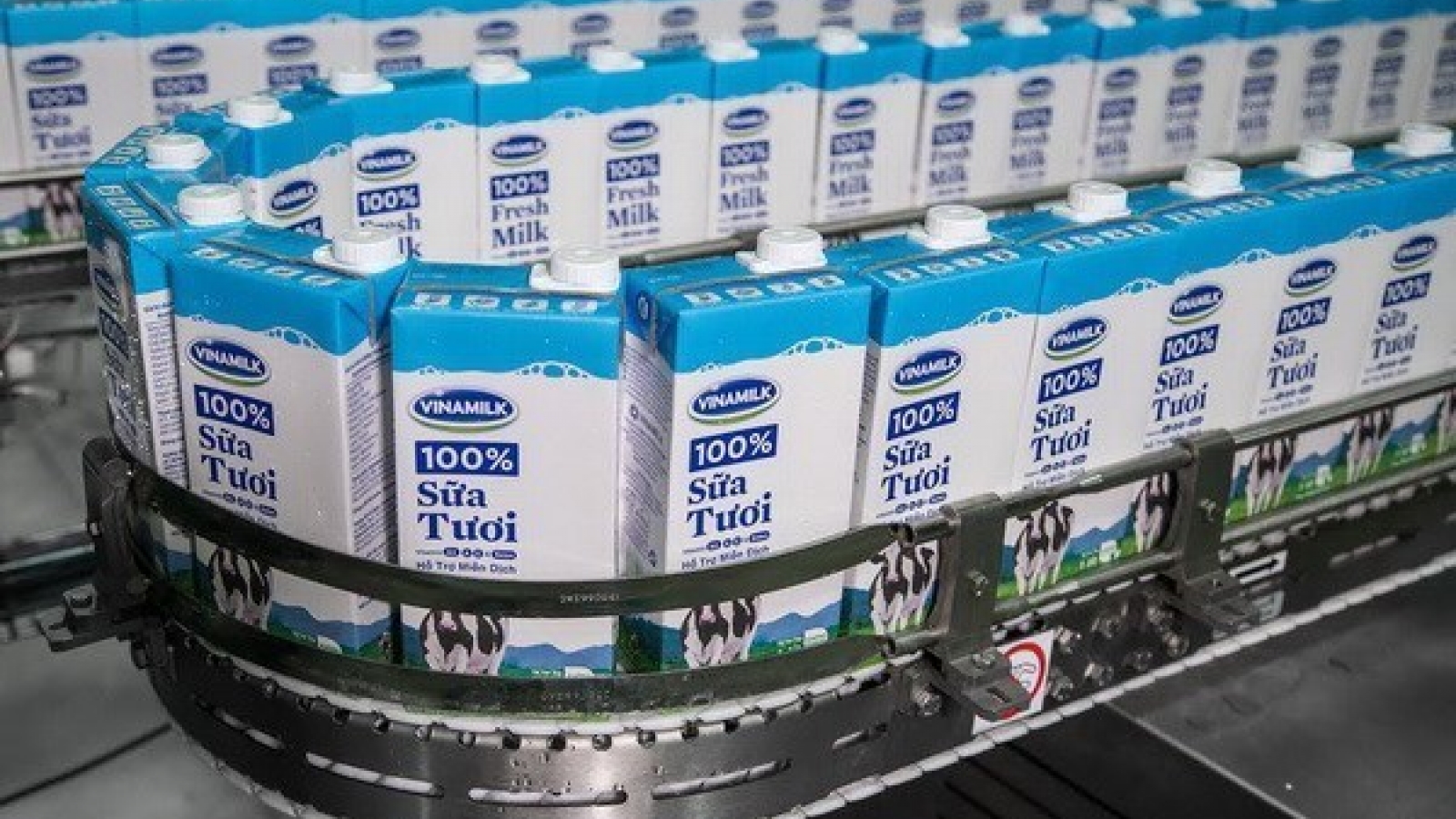 Vinamilk set to expand operations abroad