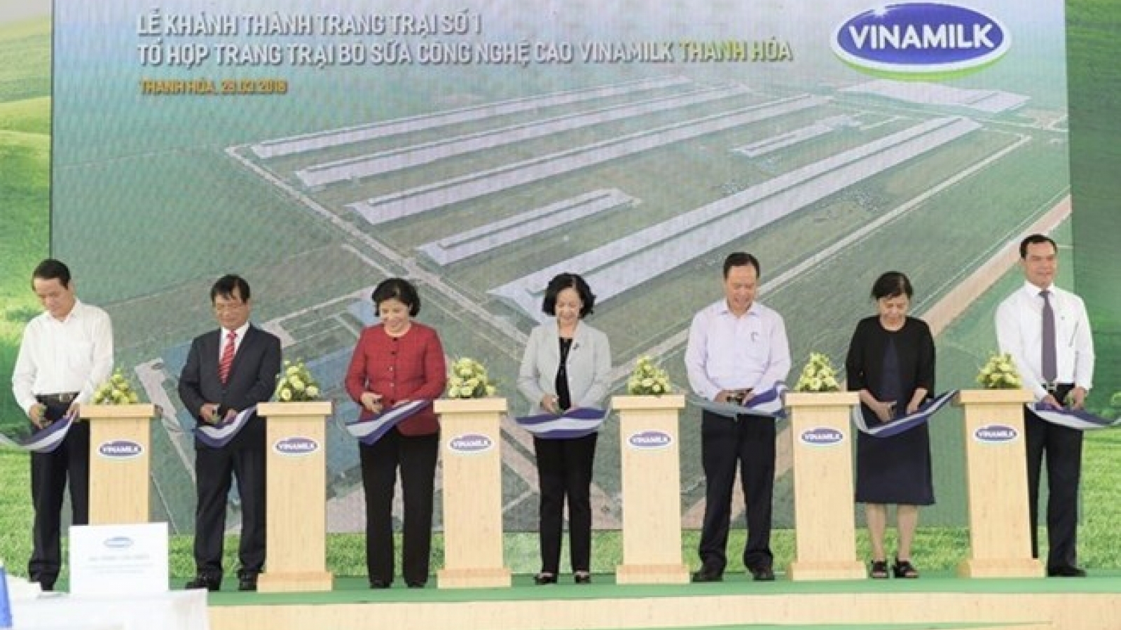 Vinamilk opens high-tech dairy farm in Thanh Hoa