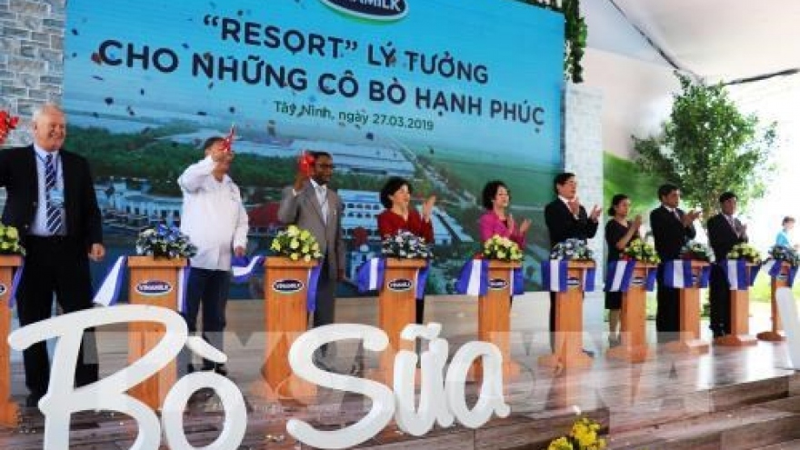 Vinamilk inaugurates Vietnam’s largest dairy cow farm in Tay Ninh