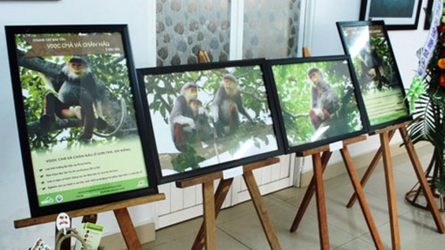 Photo exhibition in support of endangered species