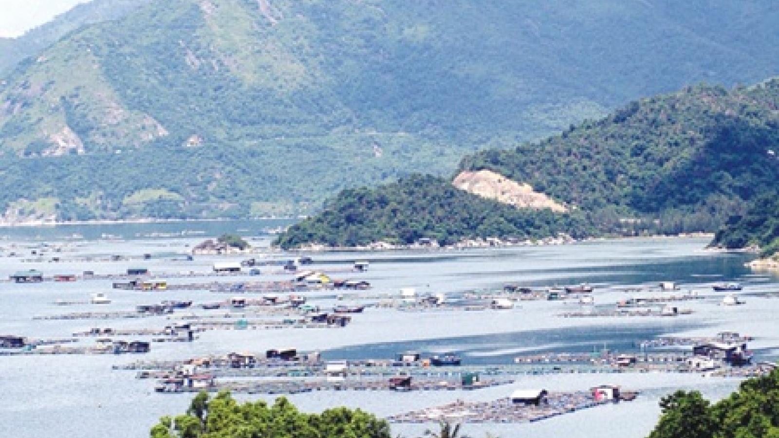 US firm to develop US$2.5 billion Vung Ro resort