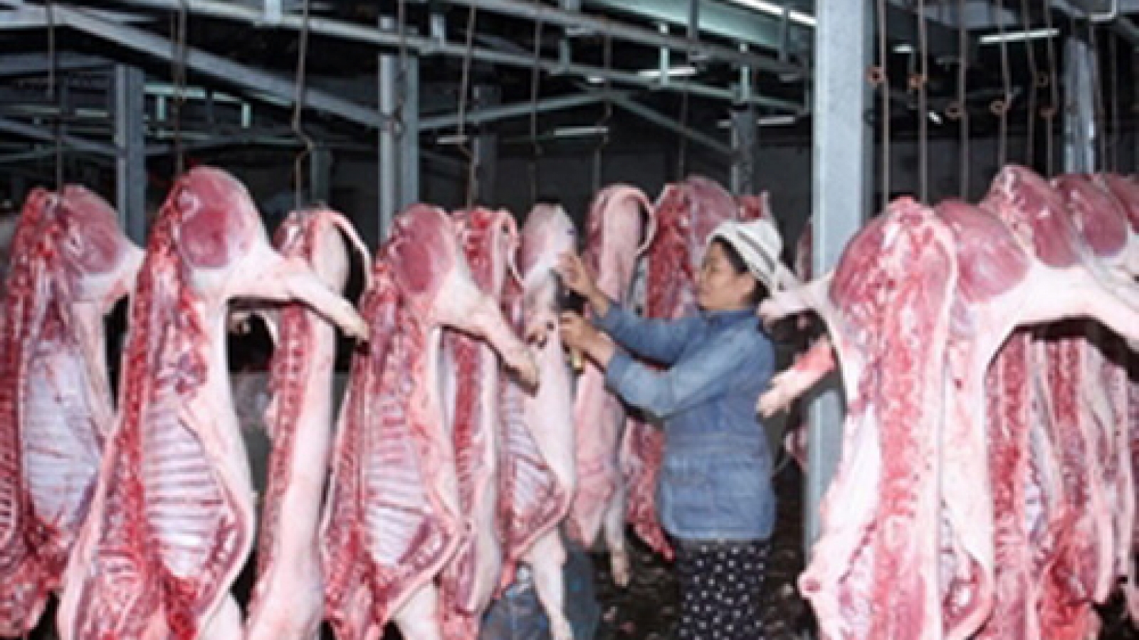 WB helps improve food hygiene and safety