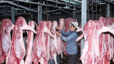 WB helps improve food hygiene and safety