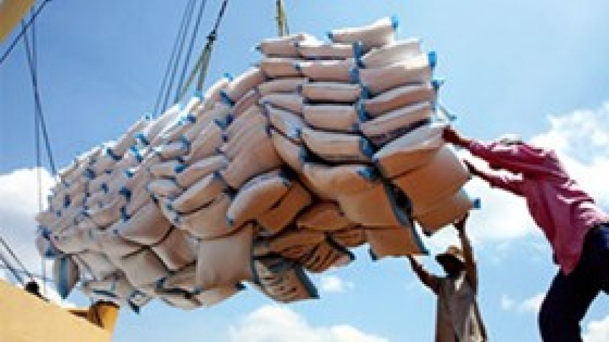 Vietnam looks for international support in economic integration