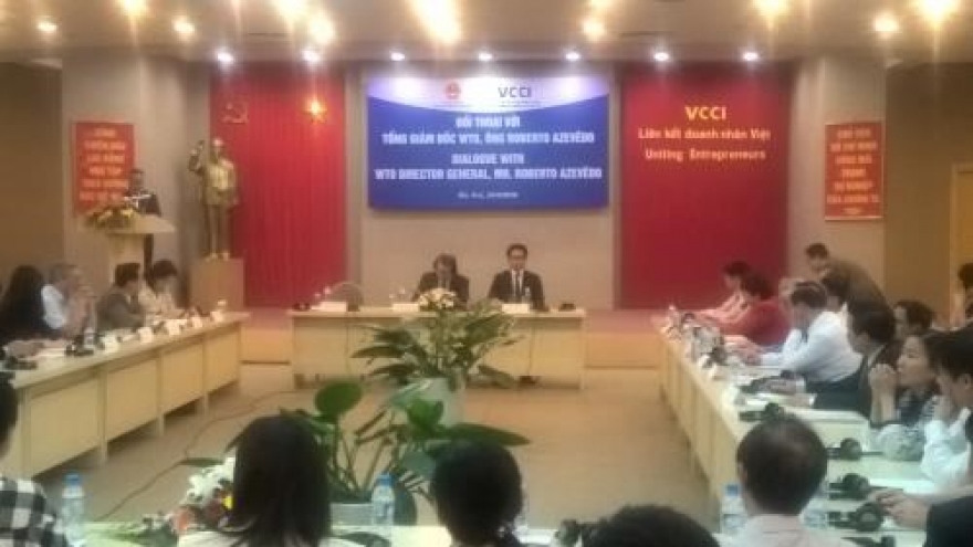 Vietnam makes good use of WTO chances: WTO head