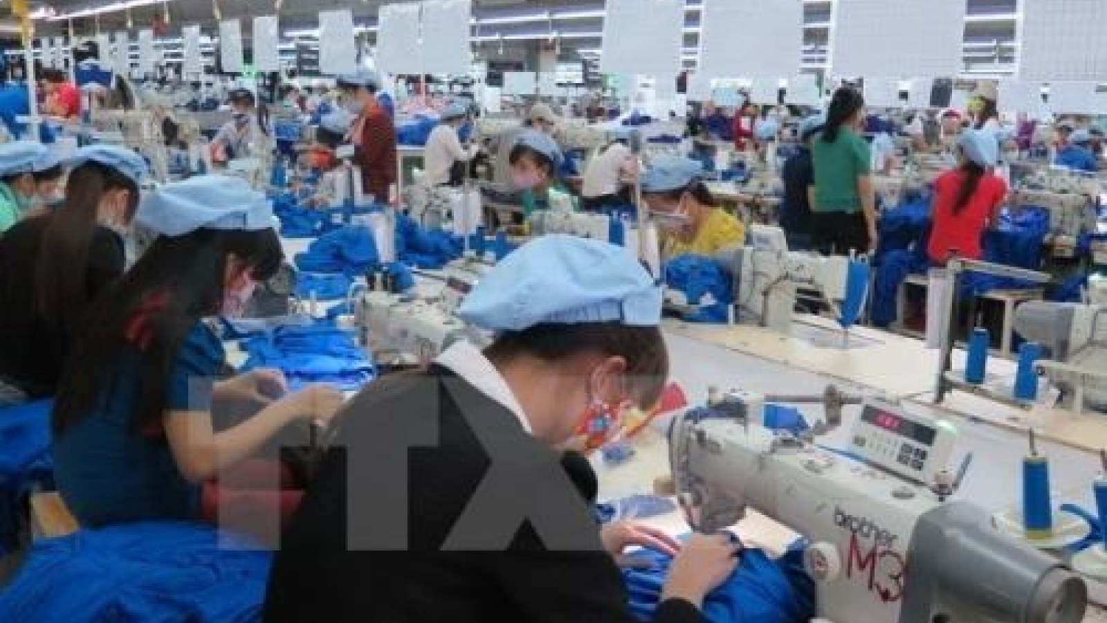 White Book on Vietnamese businesses 2019 to come late May: GSO