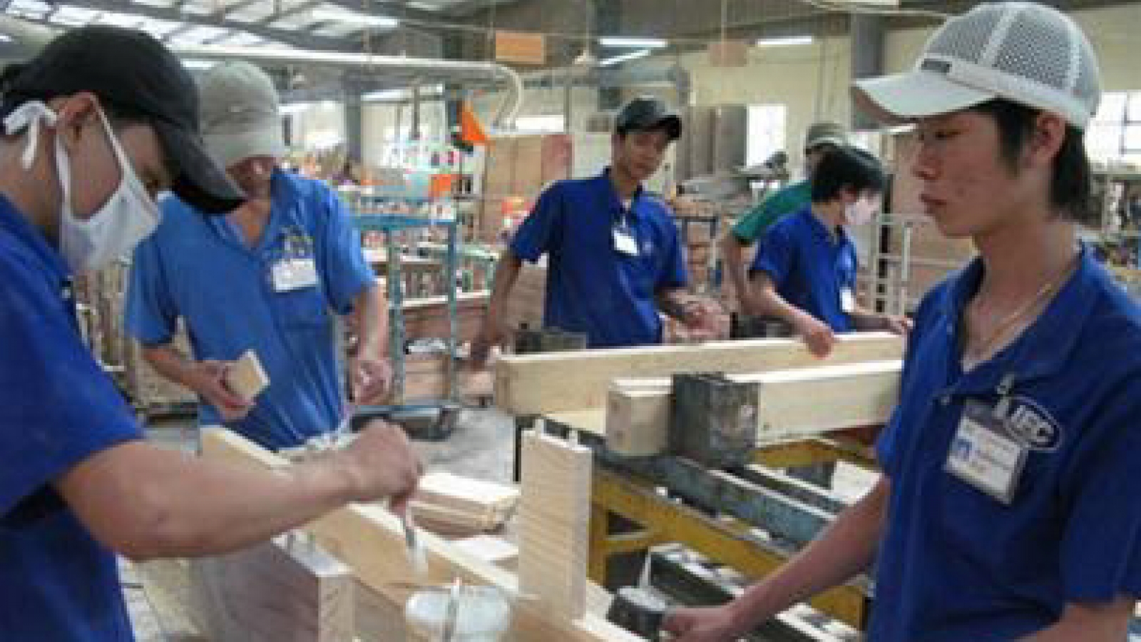 Wood exports surge in seven months