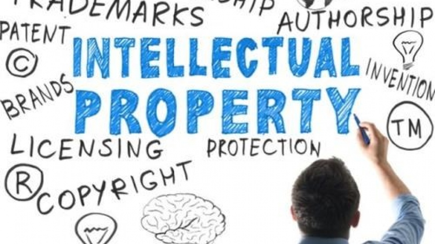 Workshop spotlights IP role in socio-economic development
