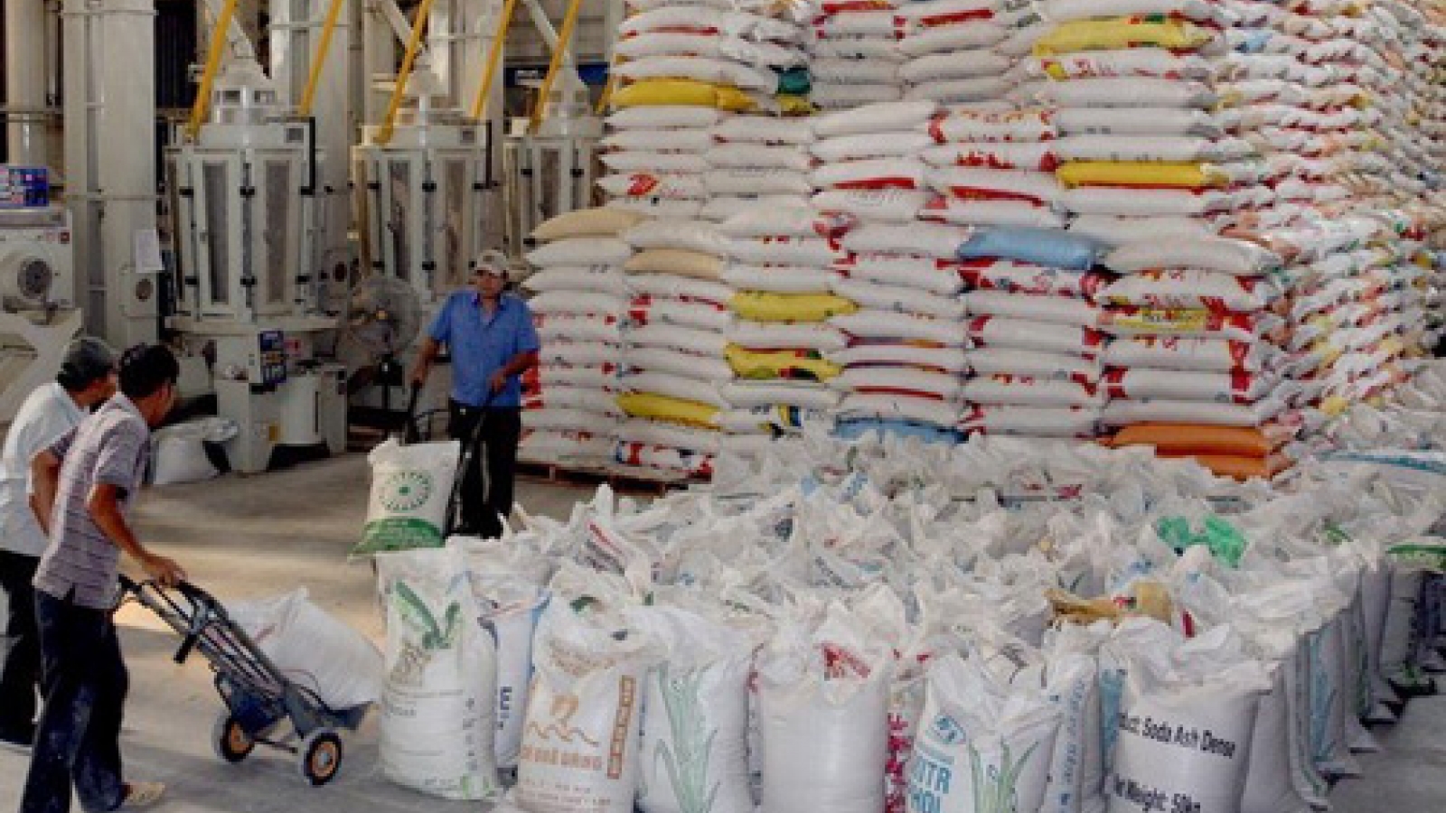 2014 rice exports to Russia decline in volume, sales
