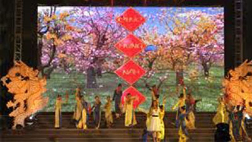 Spring get-together for Vietnamese expatriates