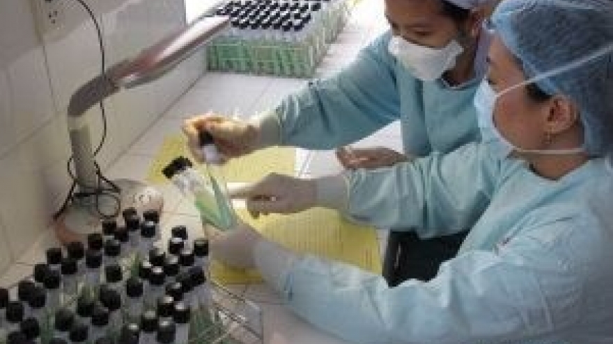 HCM City plans additional testing for TB