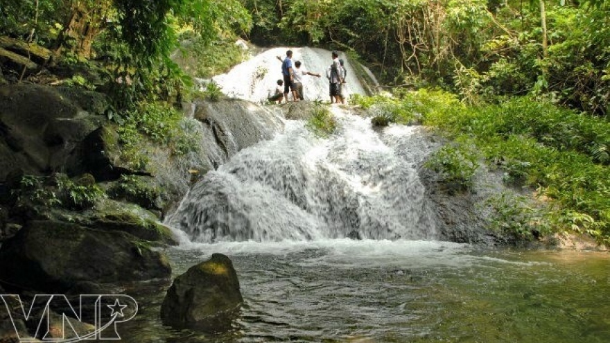 Xuan Son National Park develops community tourism