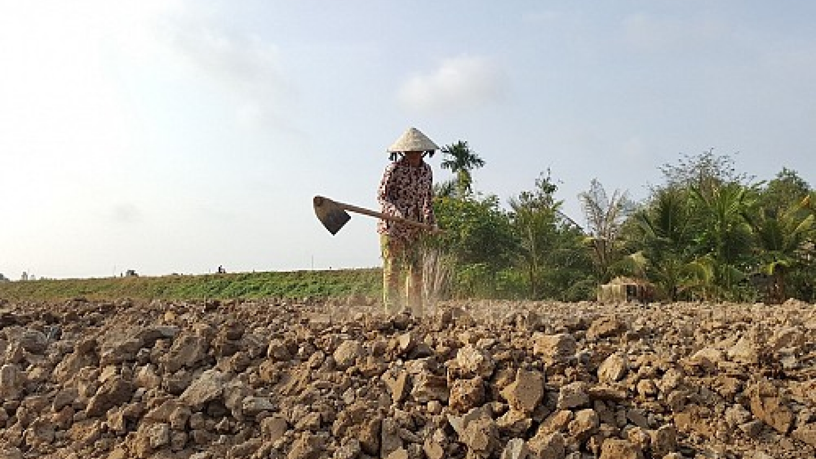 Residents in Vietnam’s Mekong Delta risk becoming environmental refugees: official