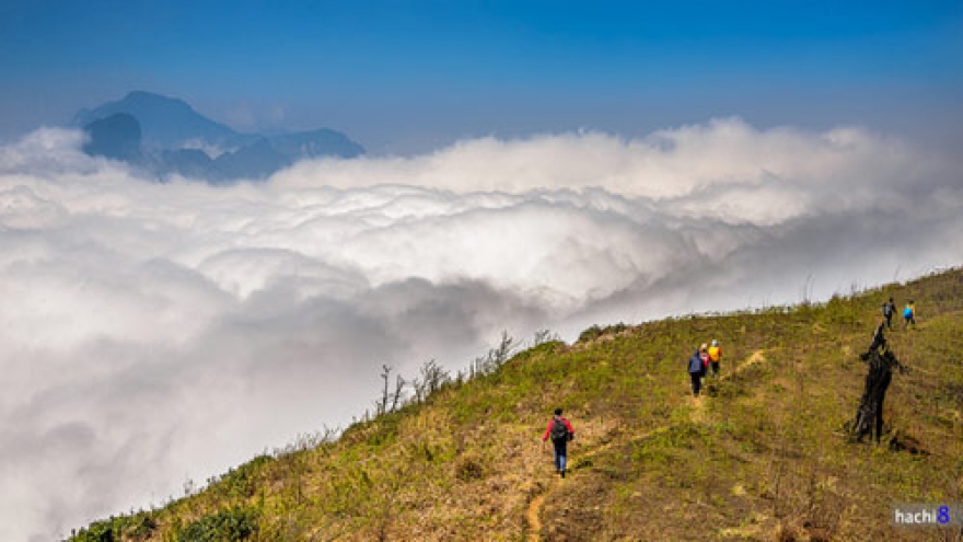 Walking in the clouds of Lao Cai province 