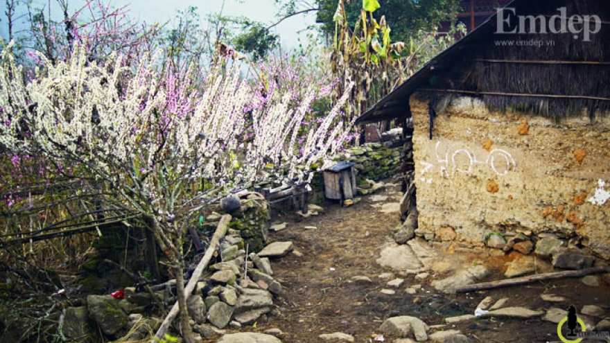 Y Ty mountainous village in spring
