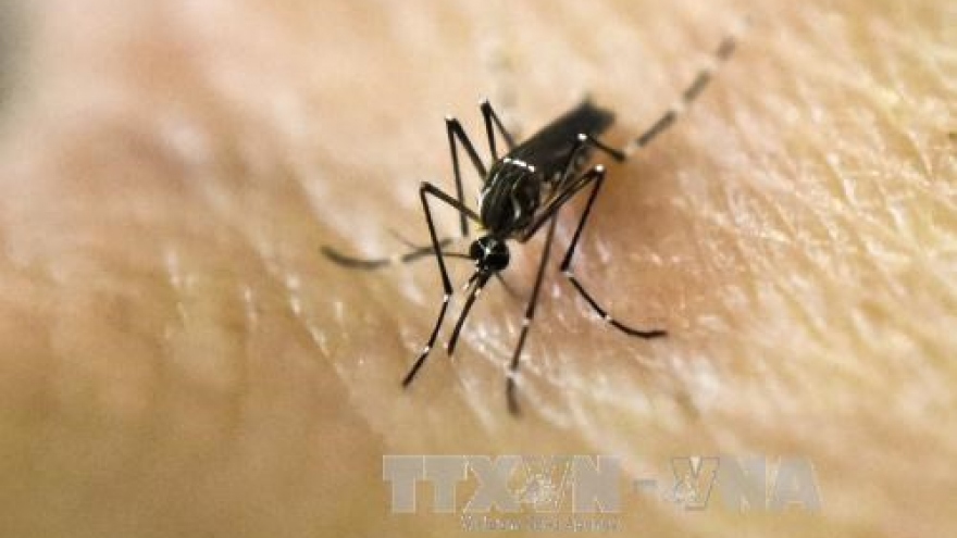 
        Ministry of Health maintains high vigilance for Zika virus
                              