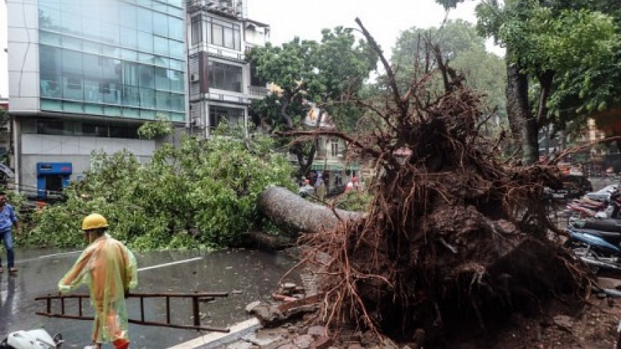 Storm Dianmu triggers Facebook 'Safety Check' for first time in Vietnam