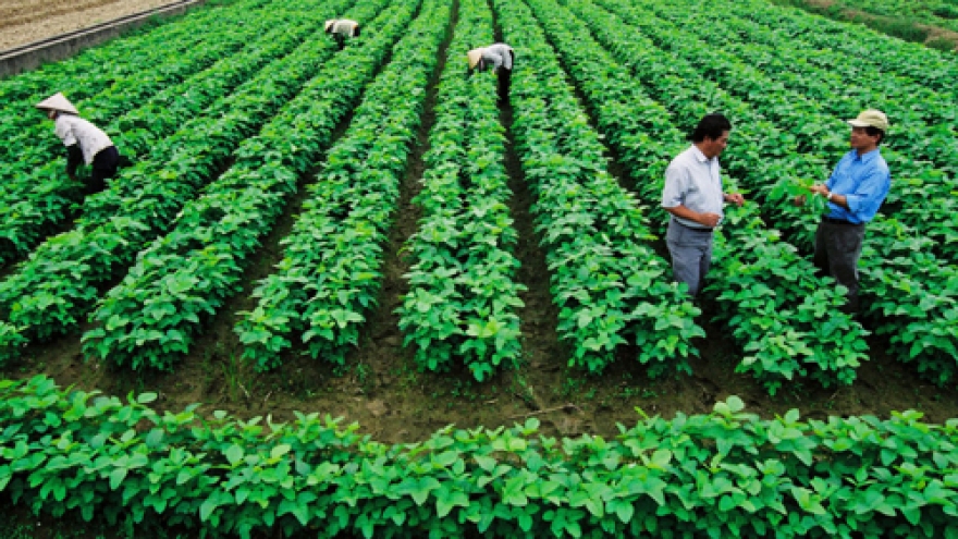 Mining, agriculture slow economic growth