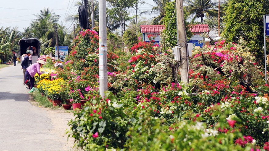 Vietnam flower village hit by rumors of cancer-causing chemical