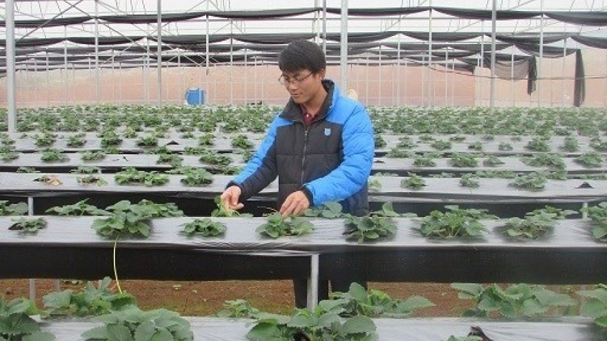 
        The strawberry whisperer with a BA in economics
                              