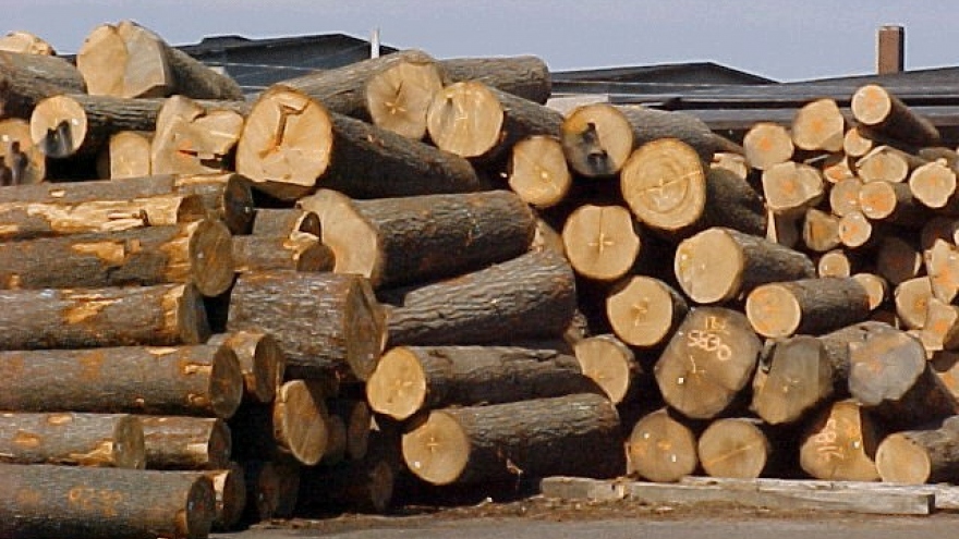 
        Laos enjoys trade surplus with Vietnam
                              