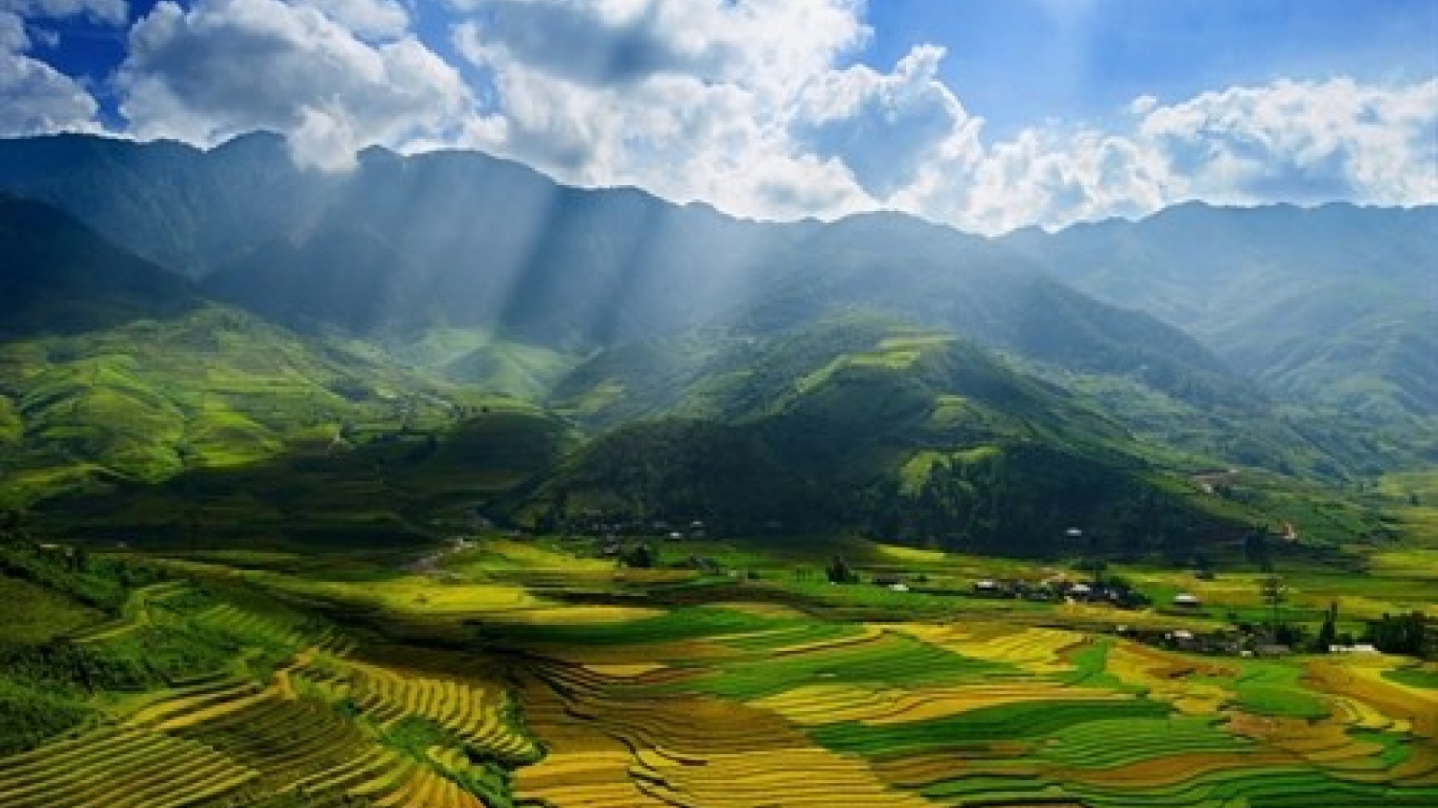 Muong Lo tourism week, a focus on tradition