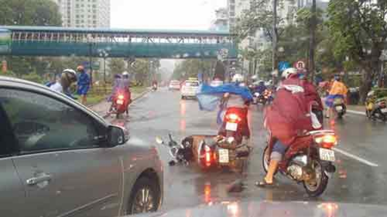 Typhoon Mirinae uproots trees, causes traffic accidents